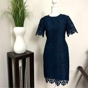 Ann Taylor Lace Dress